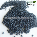 Round Shape Best Price Black Kidney Beans